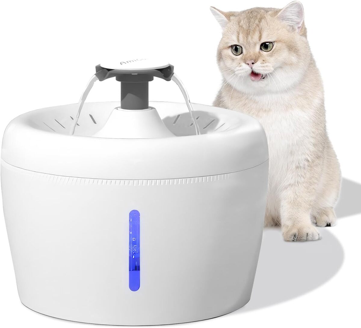 Test Amicura : la fontaine silencieuse pour vos animaux