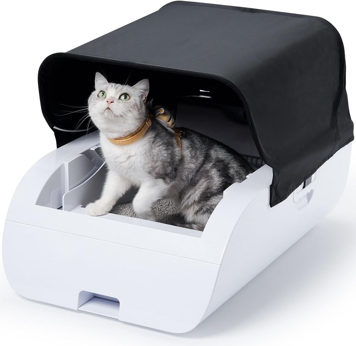 Test Bamboosang : la litière autonettoyante révolutionnaire !