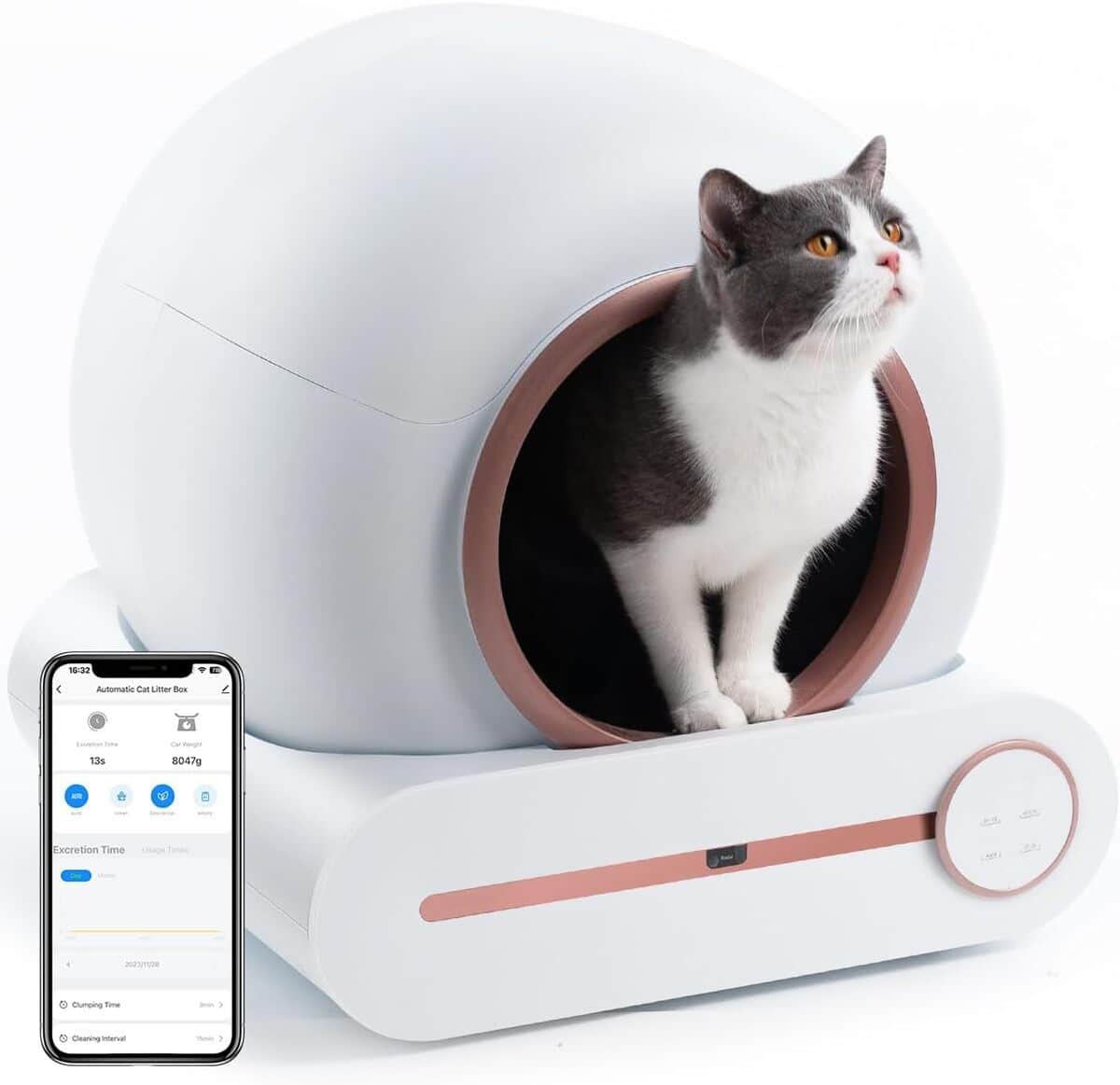 Test du bac à litière autonome Bamboosang : innovation au poil