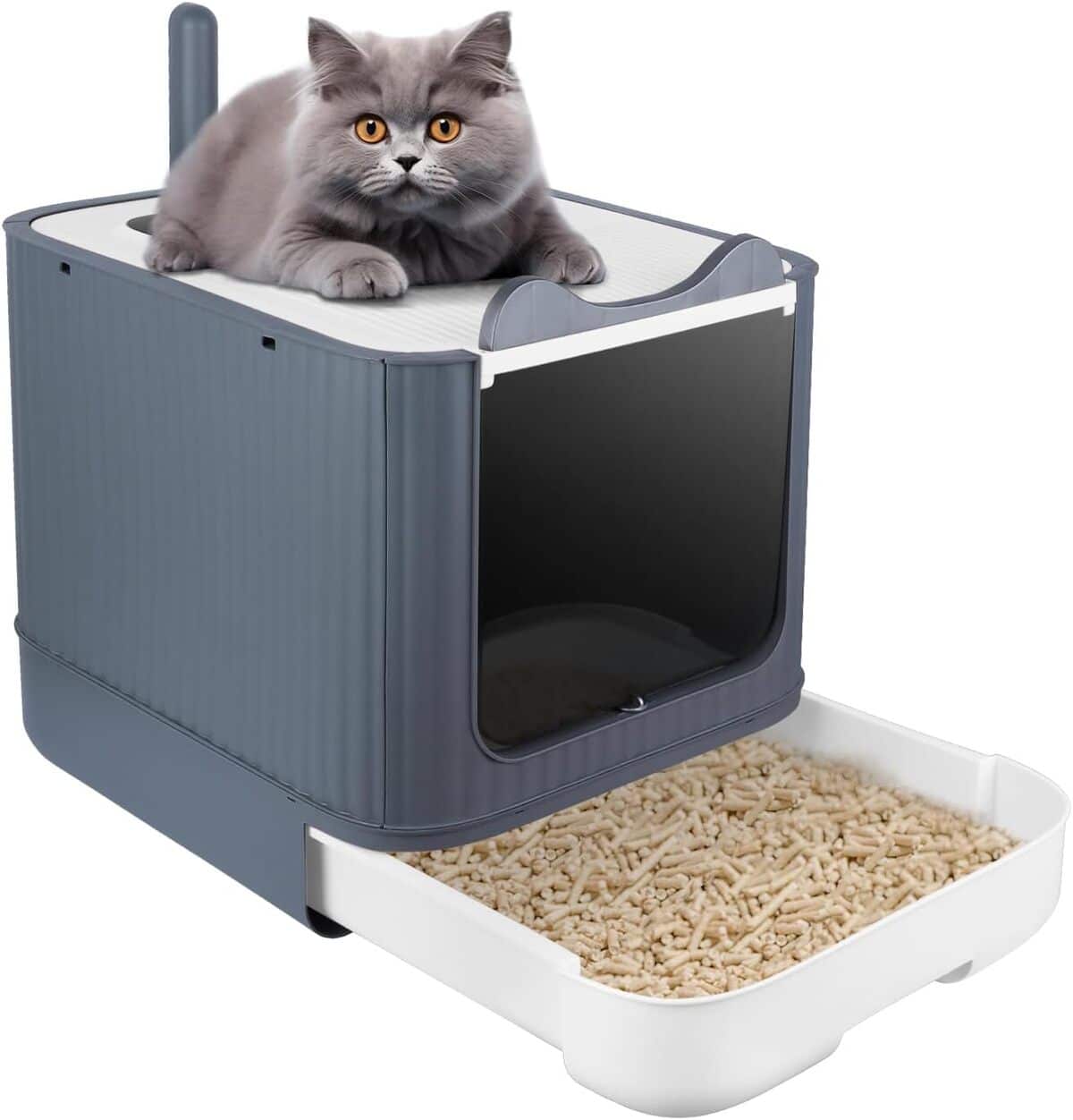 Test OHMG : une maison de toilette pour chat conçue pour le confort