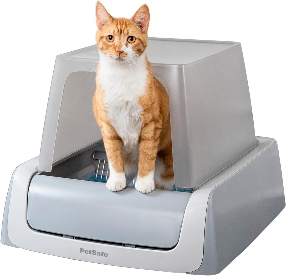 Test : bac à litière autonettoyant PetSafe ScoopFree