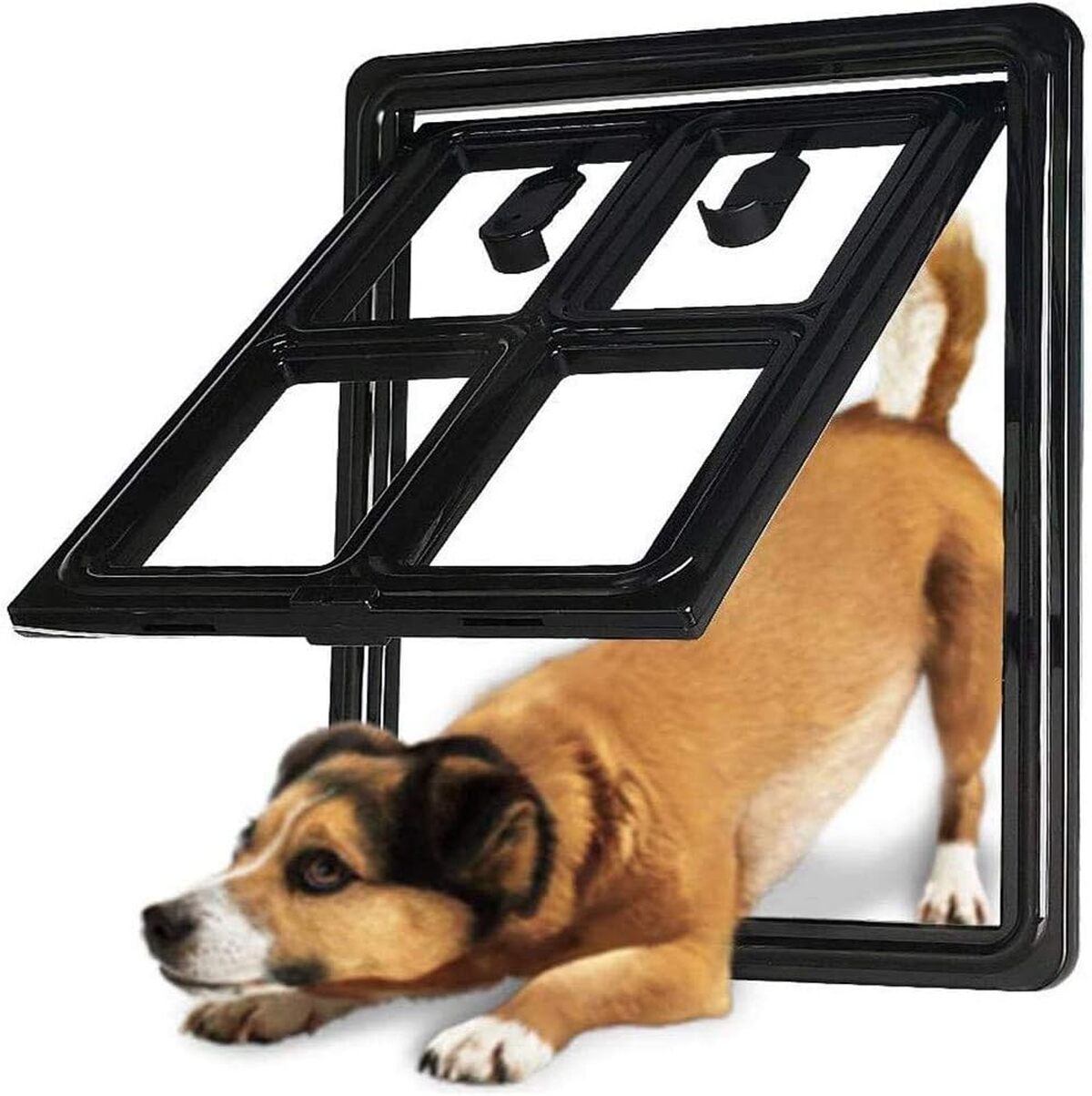 Test de la chatière électronique WPCASE pour chien et chat