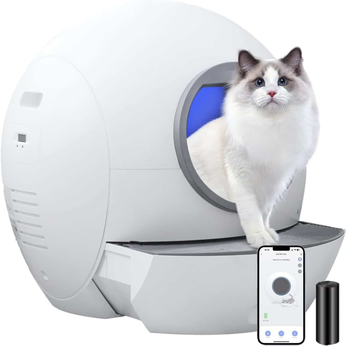 Test de la litière autonettoyante Amicura : un bac intelligent pour chats