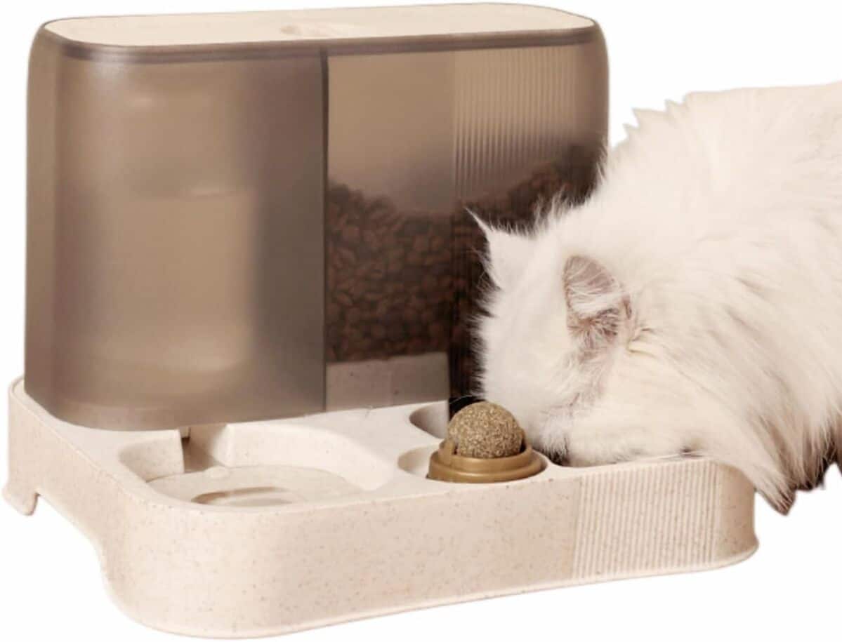 Test : distributeur Arespark 2 en 1, parfait pour vos animaux ?