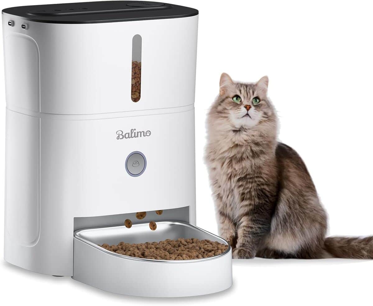 Test du Balimo Luck 3L : le distributeur automatique pour chats