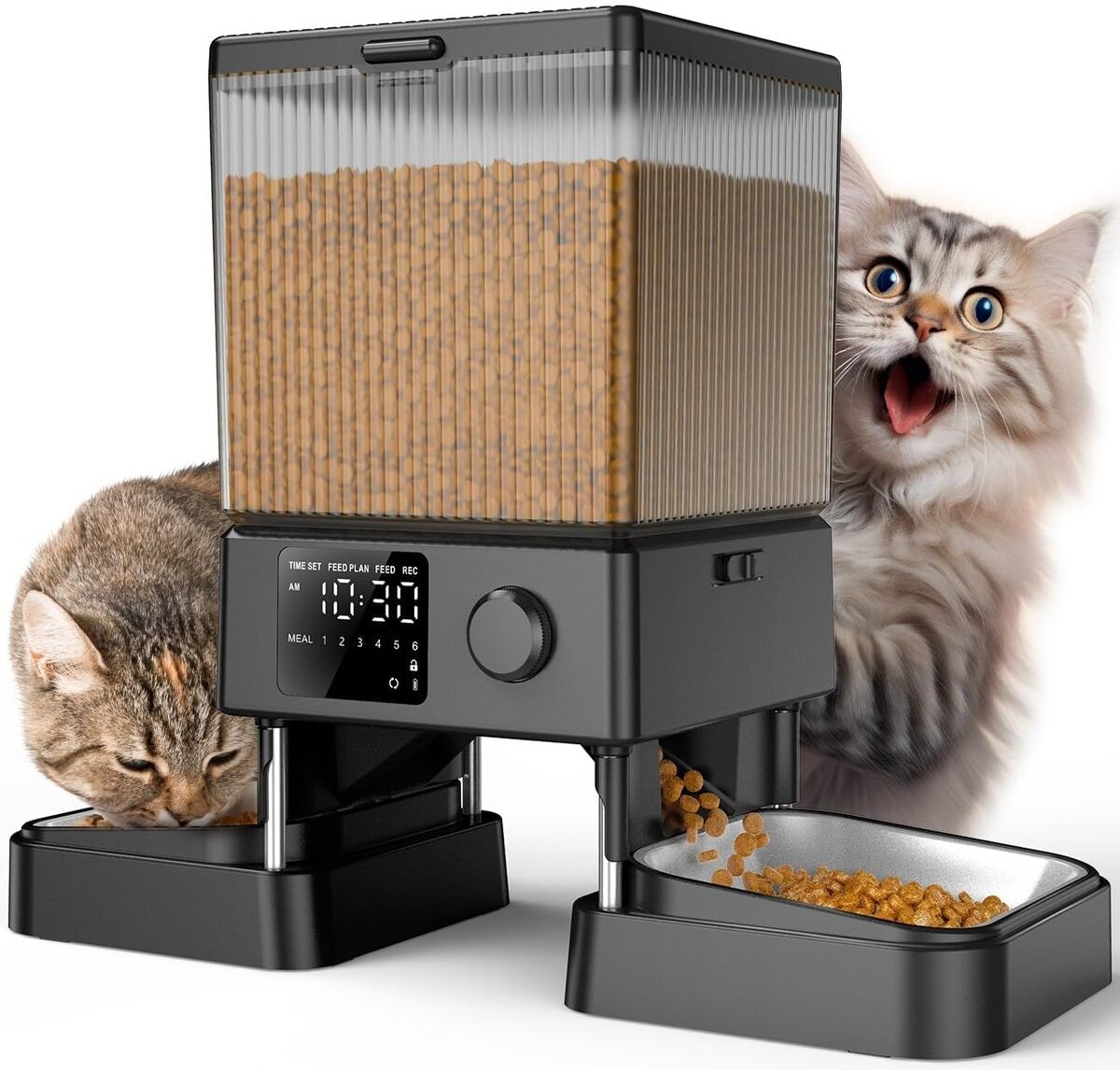 Test du distributeur automatique oneisall : croquettes faciles pour votre chat