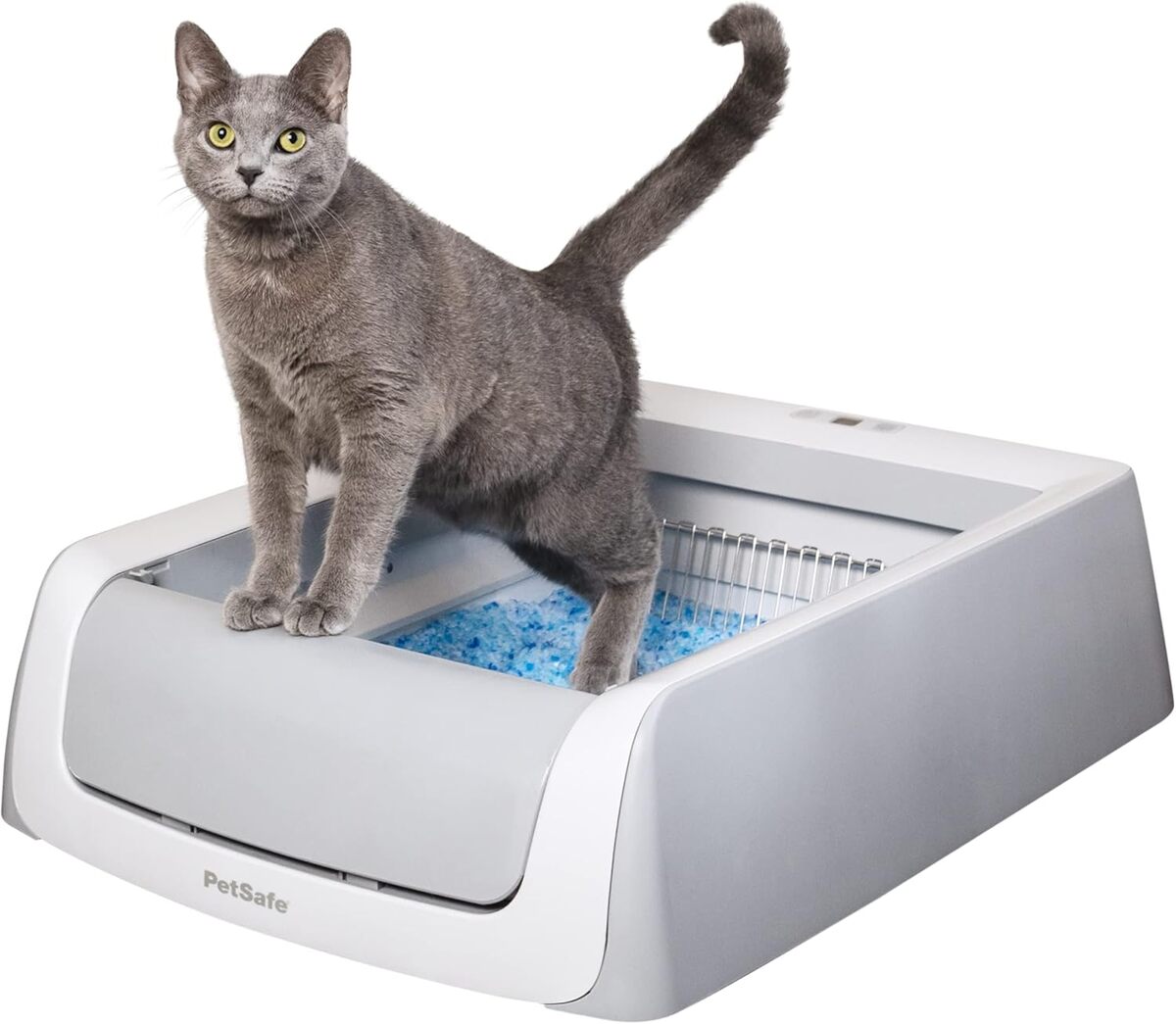 Avis sur le bac à litière autonettoyant PetSafe ScoopFree