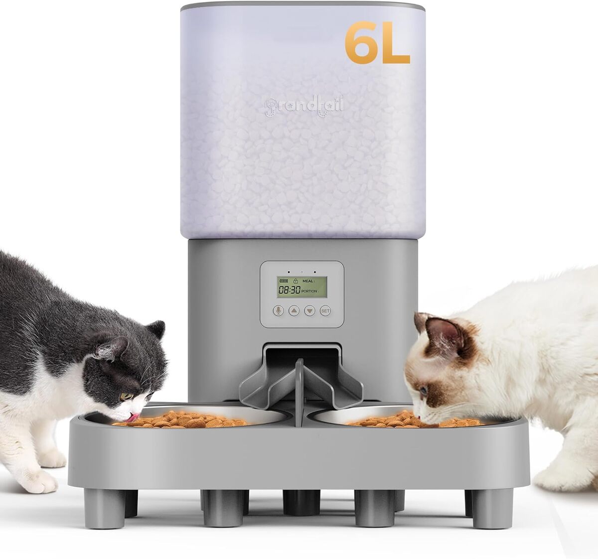 Test des mangeoires automatiques pour chats