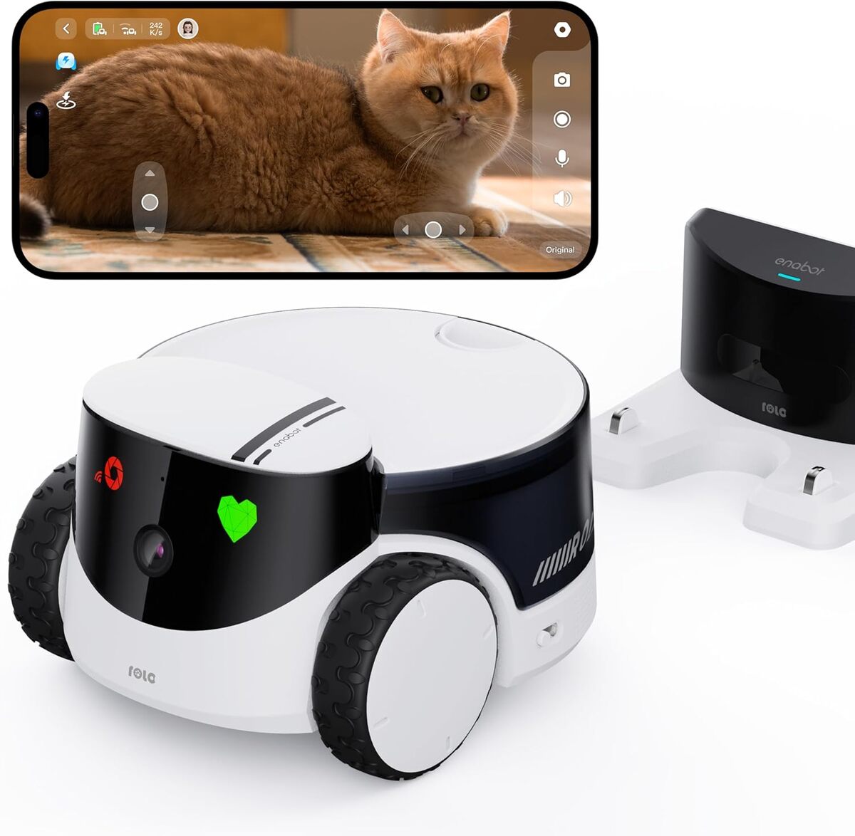 Test du robot caméra Enabot EBO ROLA : compagnon high-tech pour vos animaux