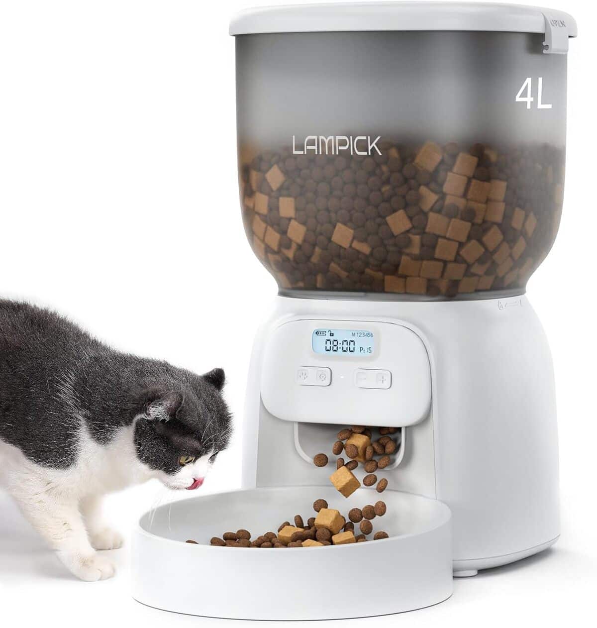 Test : mangeoire automatique Lampick pour chat