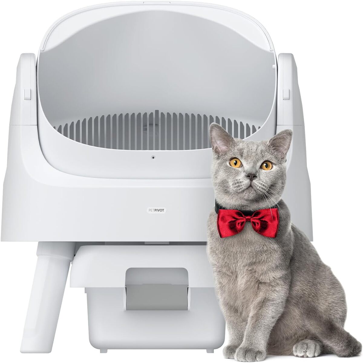 Test PetPivot : bac à litière autonettoyant pour chats