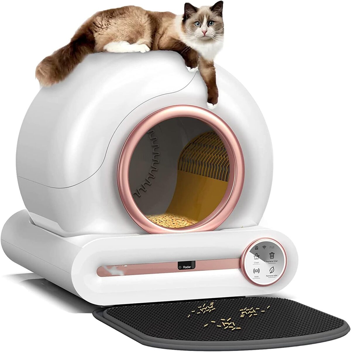 Test : robot de nettoyage Pet Smart pour litière autonettoyante