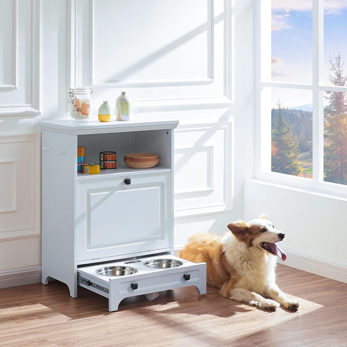 Test : station d'alimentation surélevée Roomfitters pour animaux
