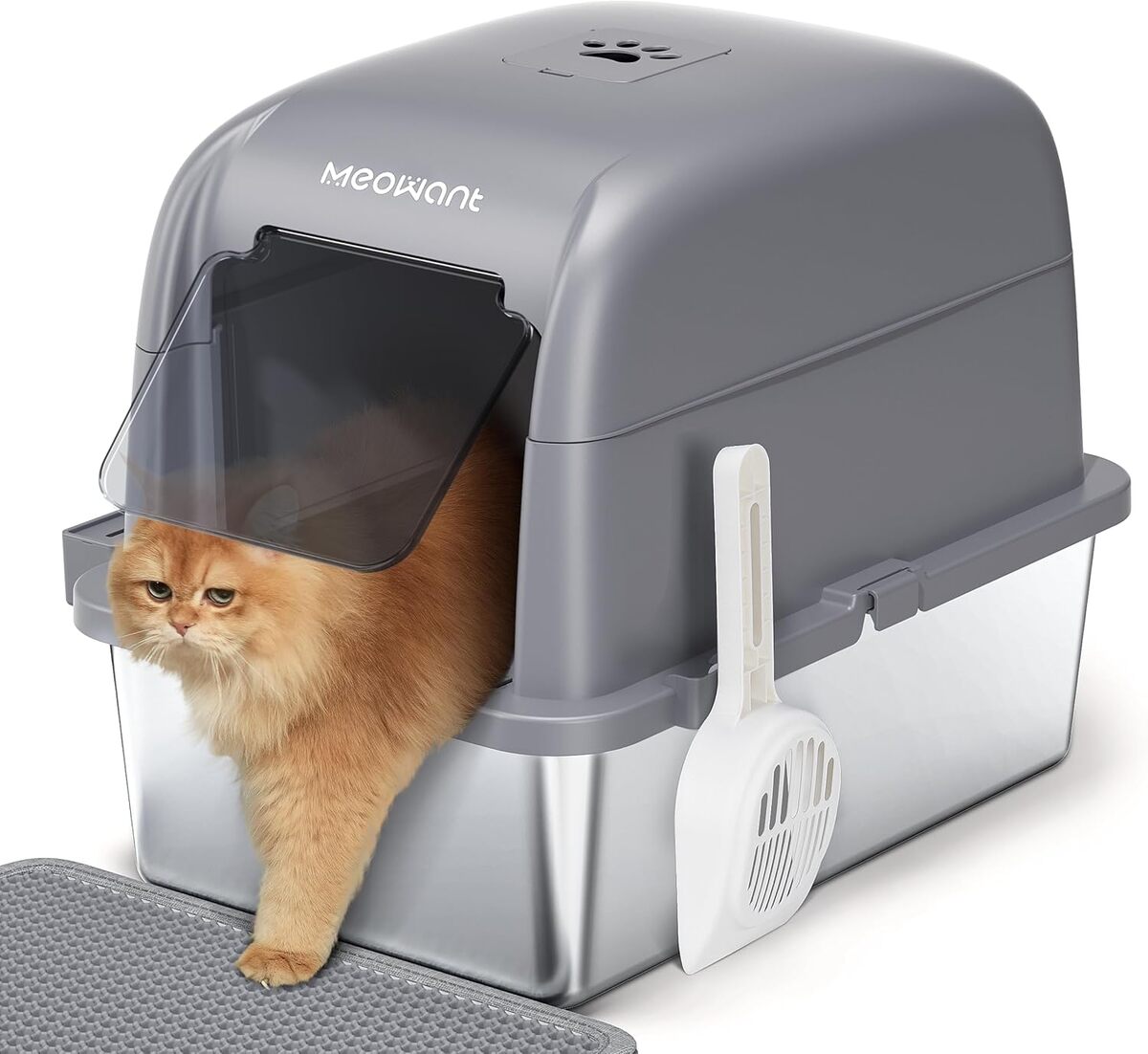 Test : bac à litière MeoWant XXL en acier inoxydable
