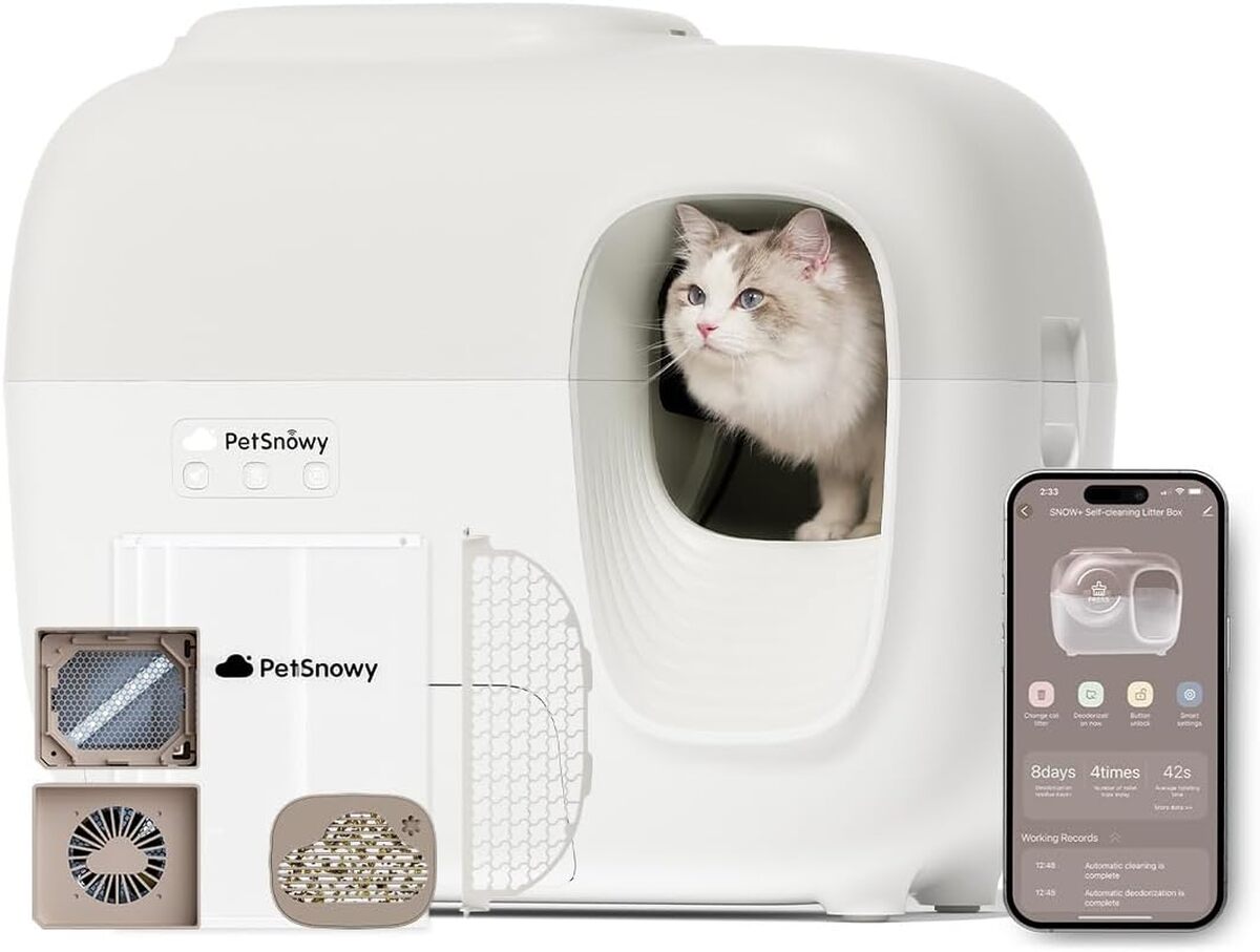 Test de la litière autonettoyante PetSnowy Snow+ : révolution pour vos chats