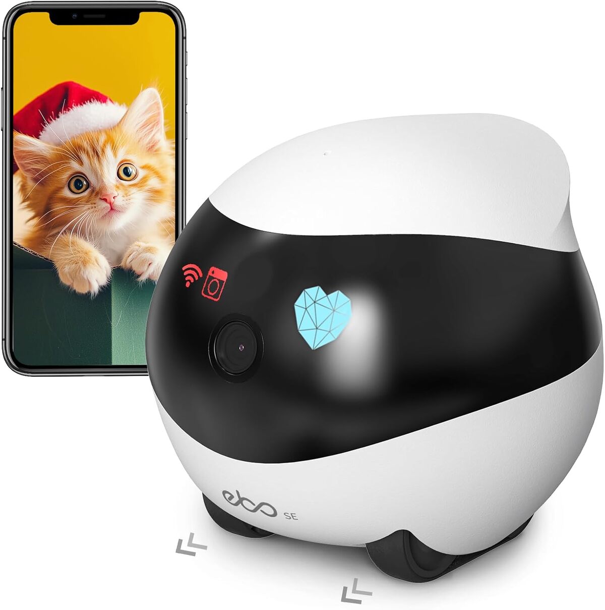 Test de l'Enabot EBO SE : caméra robotique pour animaux