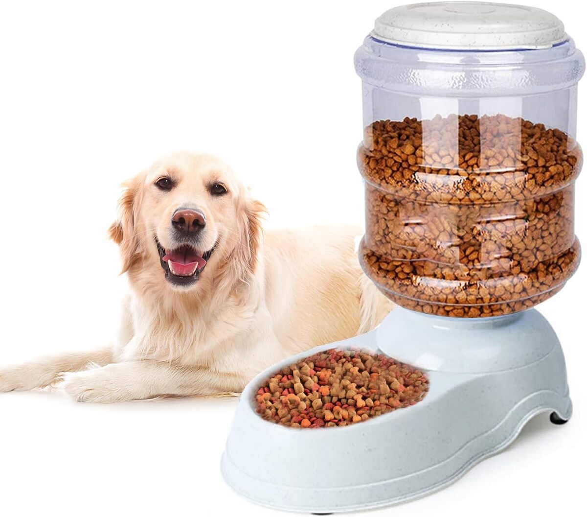 Test : mangeoire automatique pour chiens de grande taille, capacité 10L
