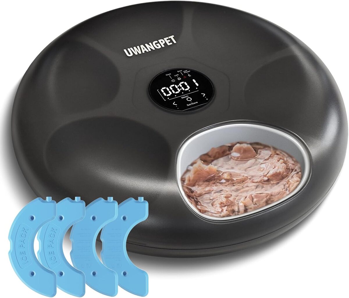 Test mangeoire automatique sans fil pour chat : solution pratique et innovante