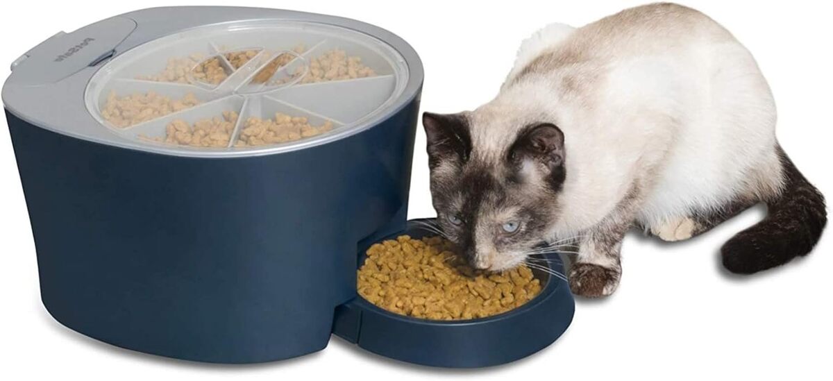 Test : petSafe Distributeur de Nourriture Programmable