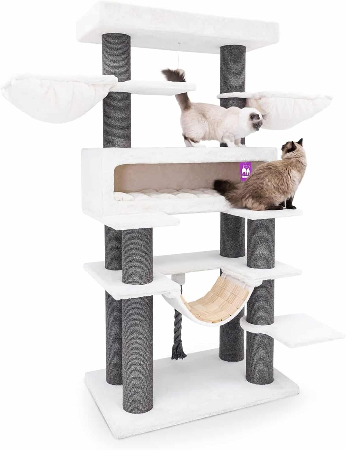Test : arbre à chat Petrebels Lookout XXL 198 cm, robuste et élégant