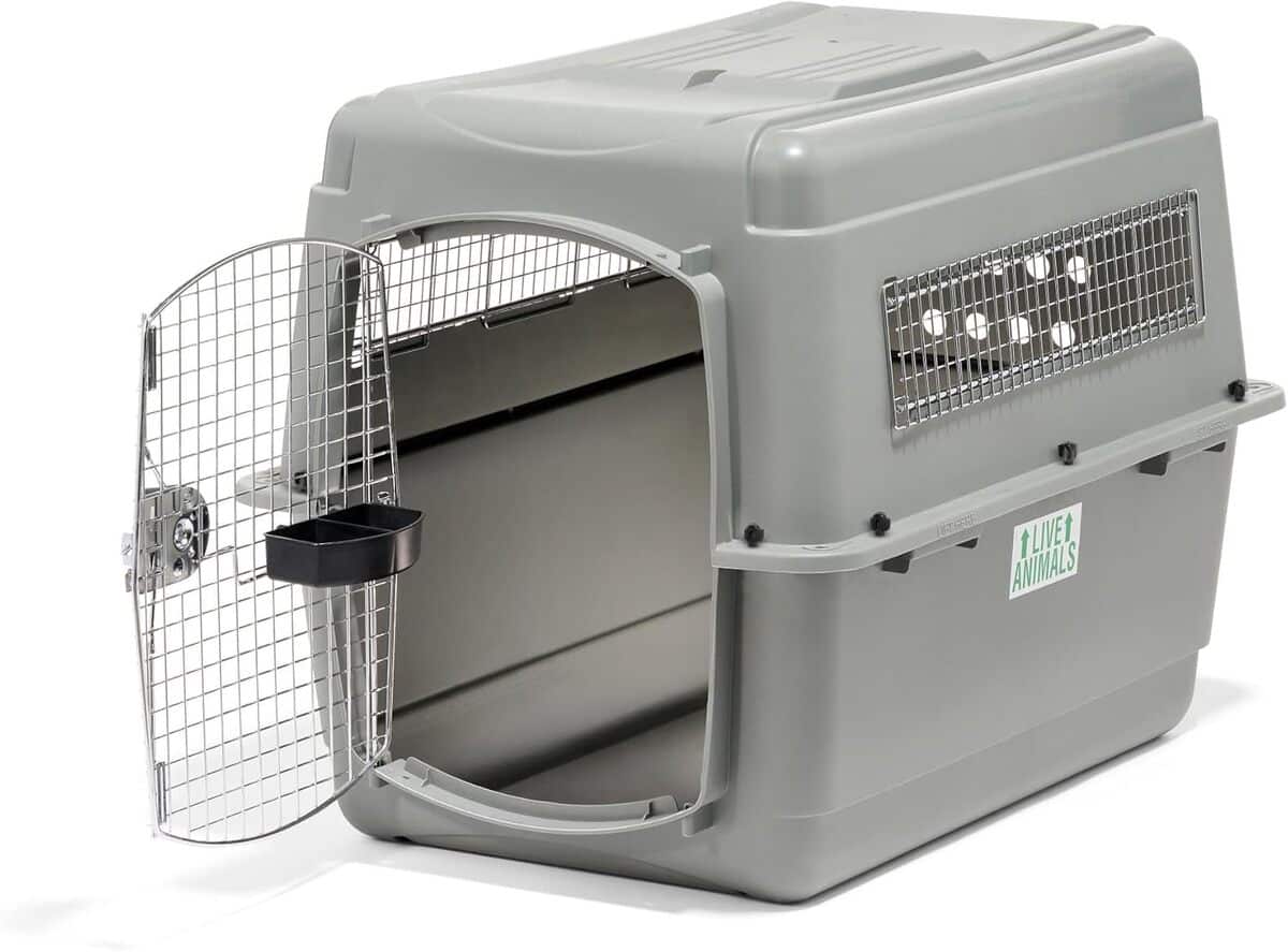 Test de la caisse de transport Beeztees Skykennel 4 pour chien