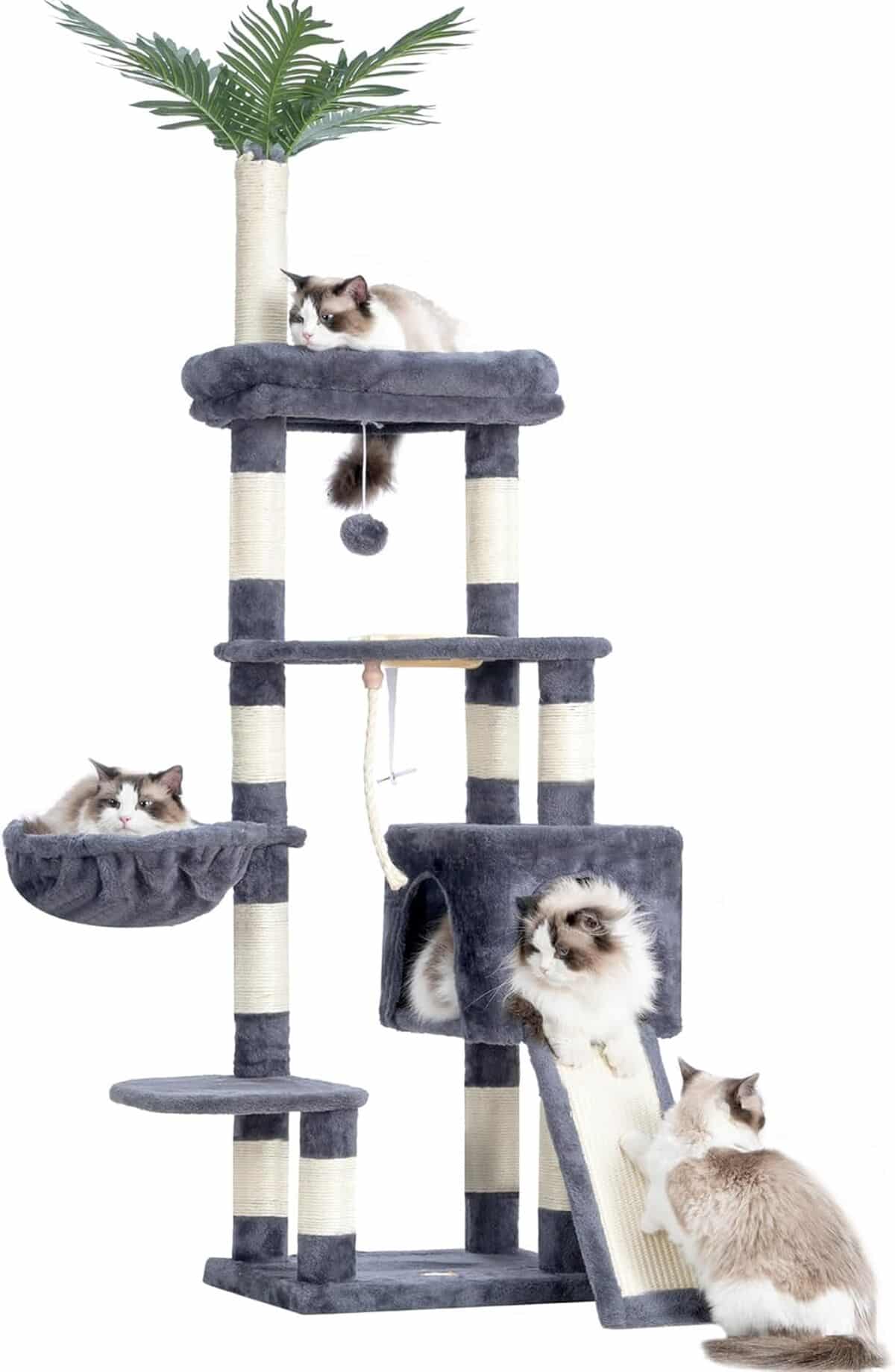 Test de l'arbre à chat Heybly HCT015G : confort et style pour vos félins