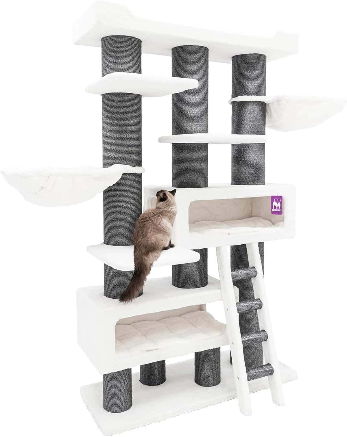 Test de l'arbre à chat Petrebels Maine Coon XXL : confort et robustesse