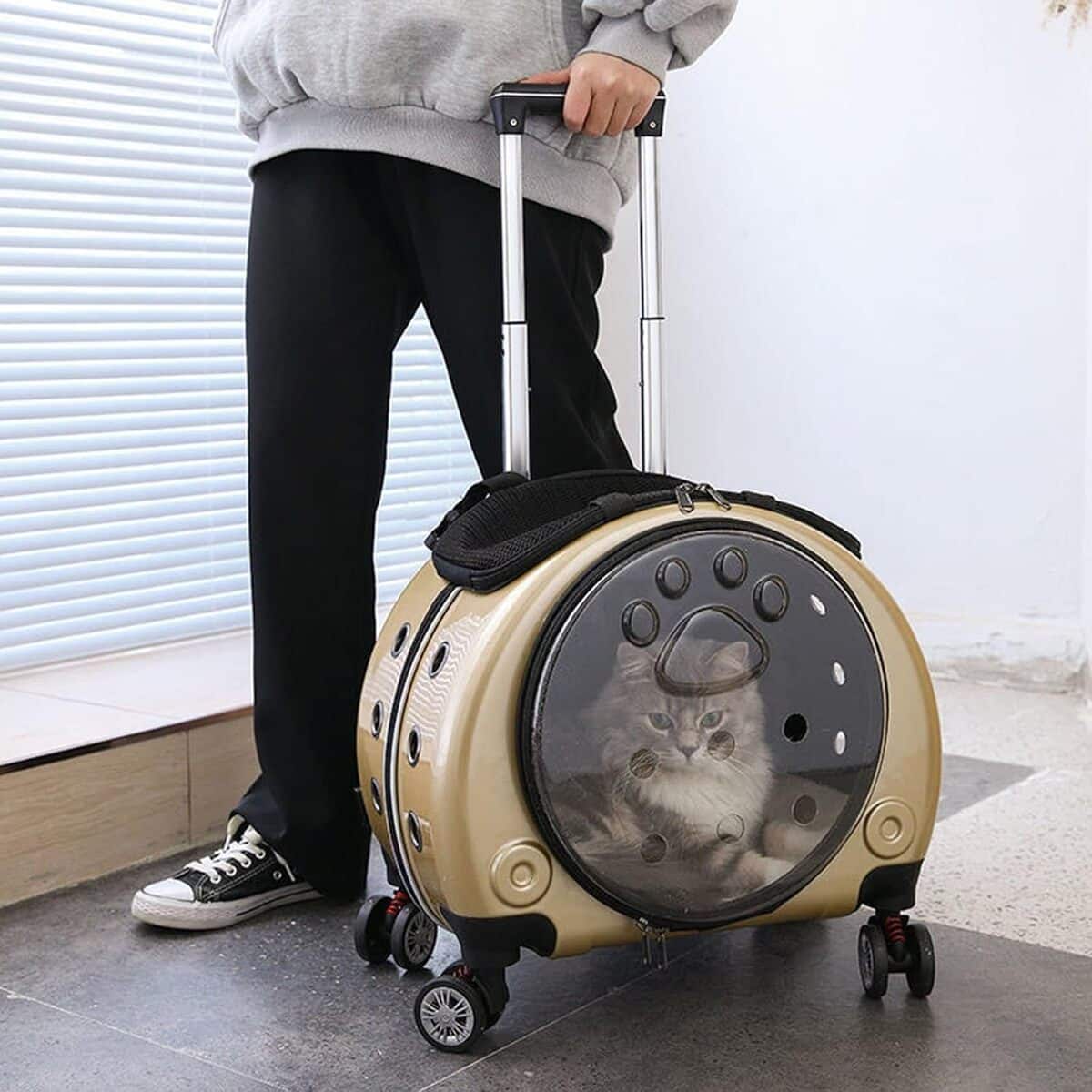 Test du sac à dos QZSM : sac de transport pour chat et chien approuvé avion
