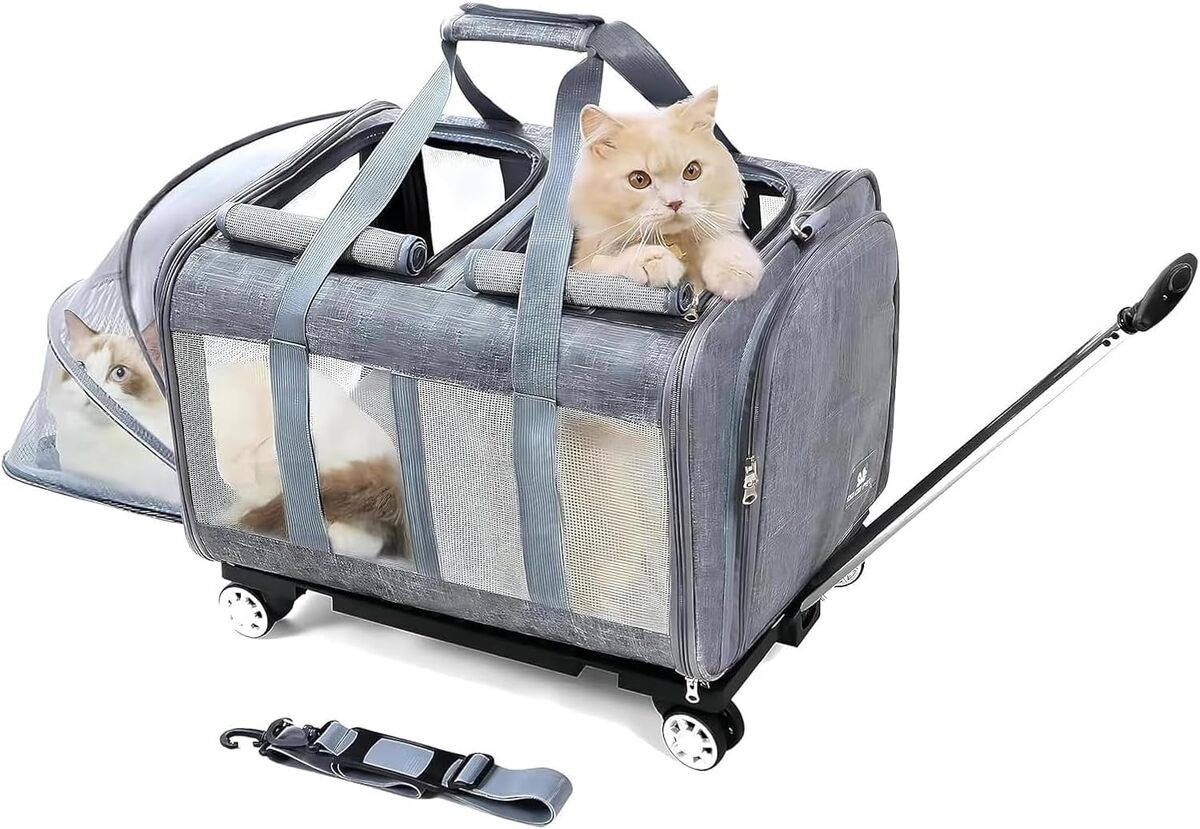 Test du sac de transport à roulettes pour chats Beautymonkey.k