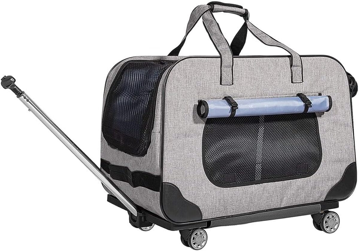 Test du sac de transport PETEMOO pour chiens et chats
