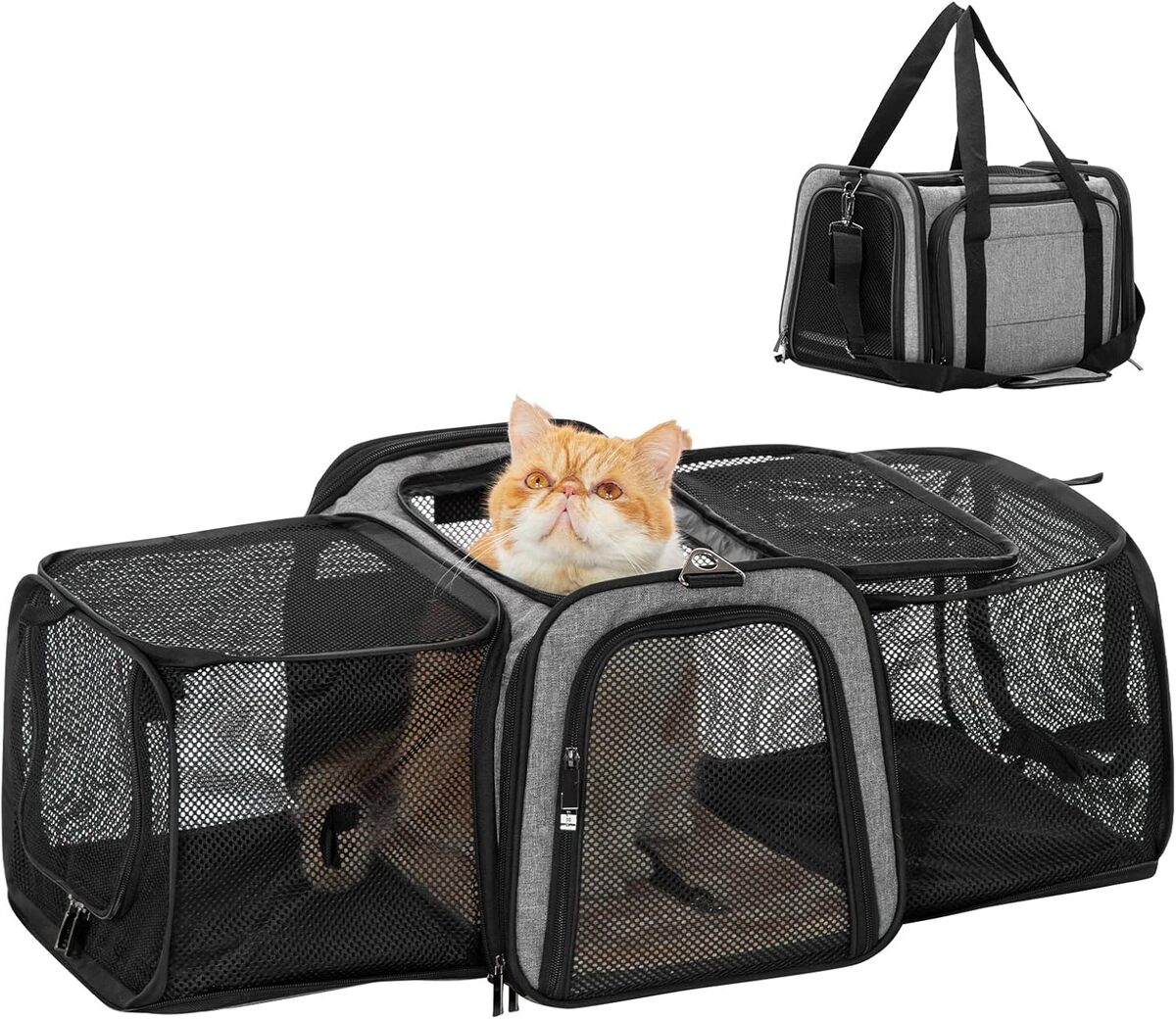 Test du sac de transport Petsfit pour animaux jusqu'à 8, 2 kg