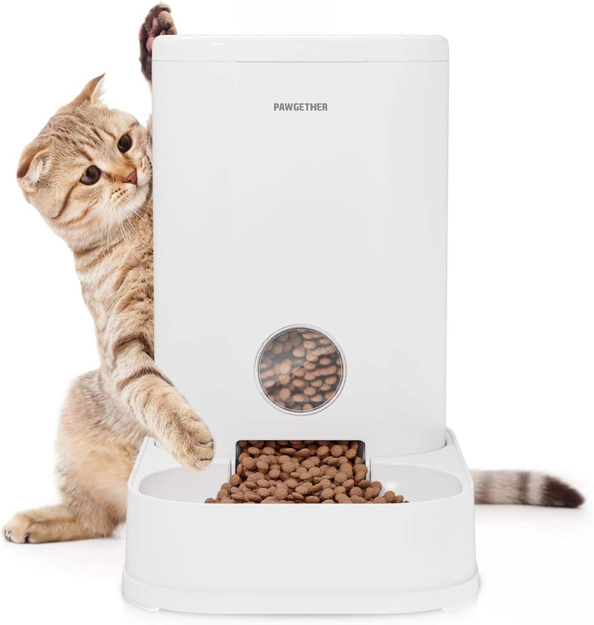 Test : mangeoire à gravité Pawgether pour chiens et chats