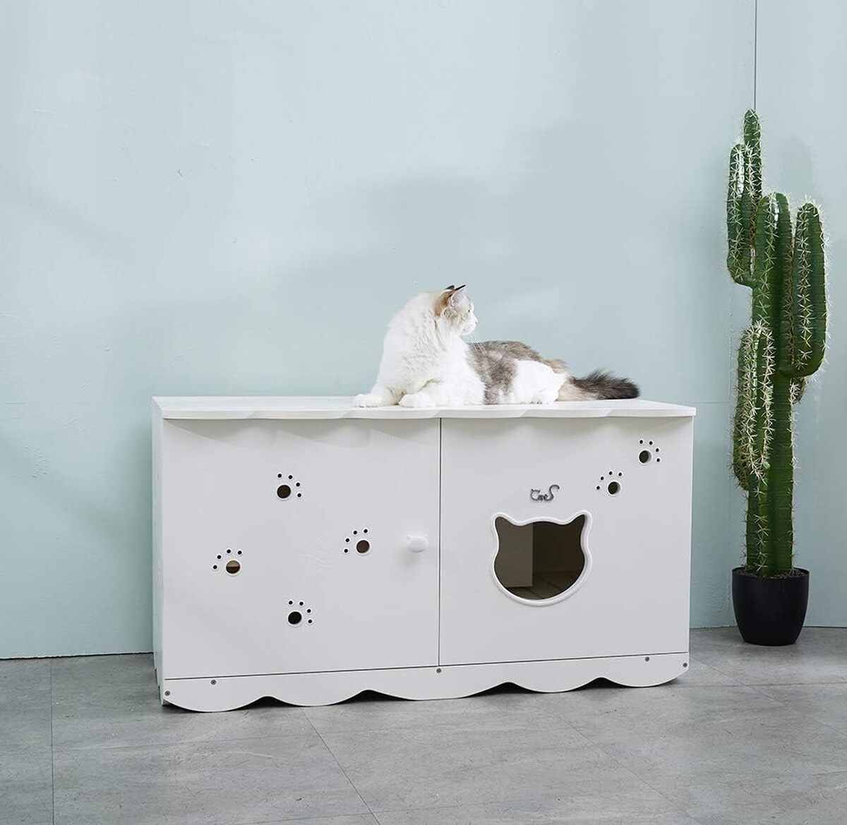 Test : meuble de toilette pour chat CatS Design No 15