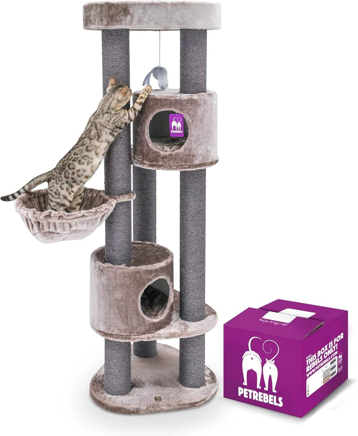 Test Petrebels : arbre à chat Charlotte, confort XL pour vos félins
