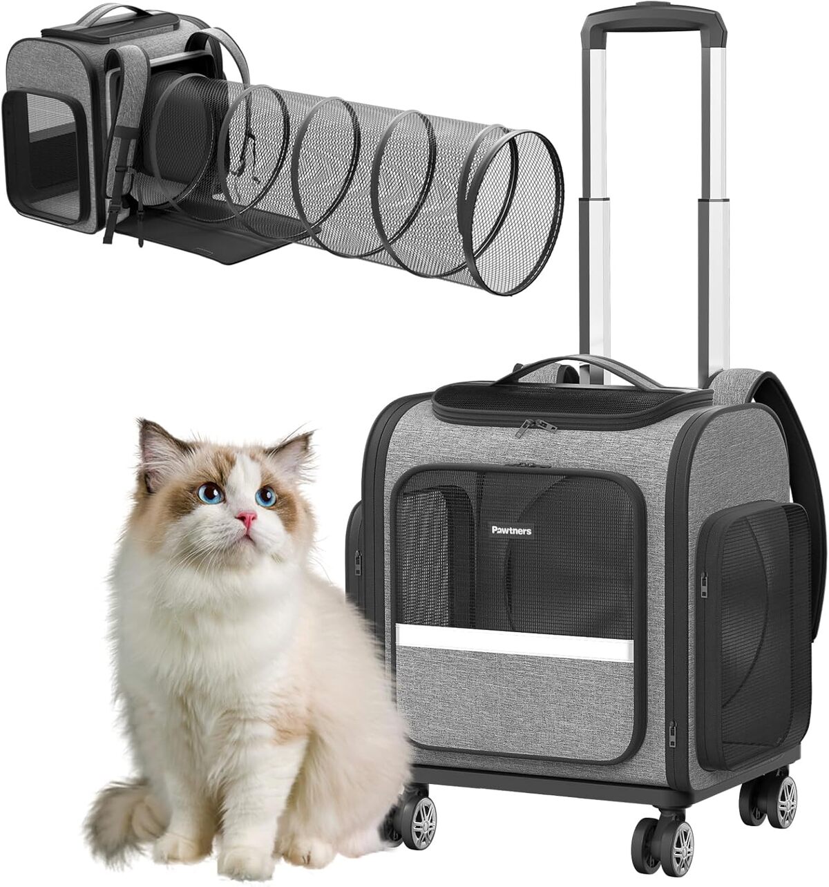 Test : sac de transport à roulettes pour chat et chien