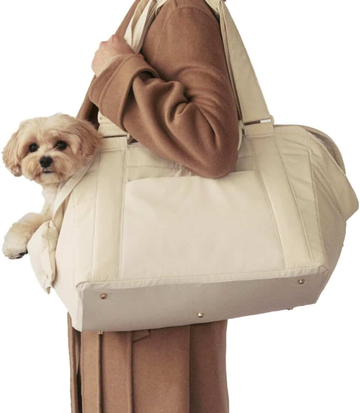 Test : sac de transport MILLIONG pour animaux, sécurité et praticité