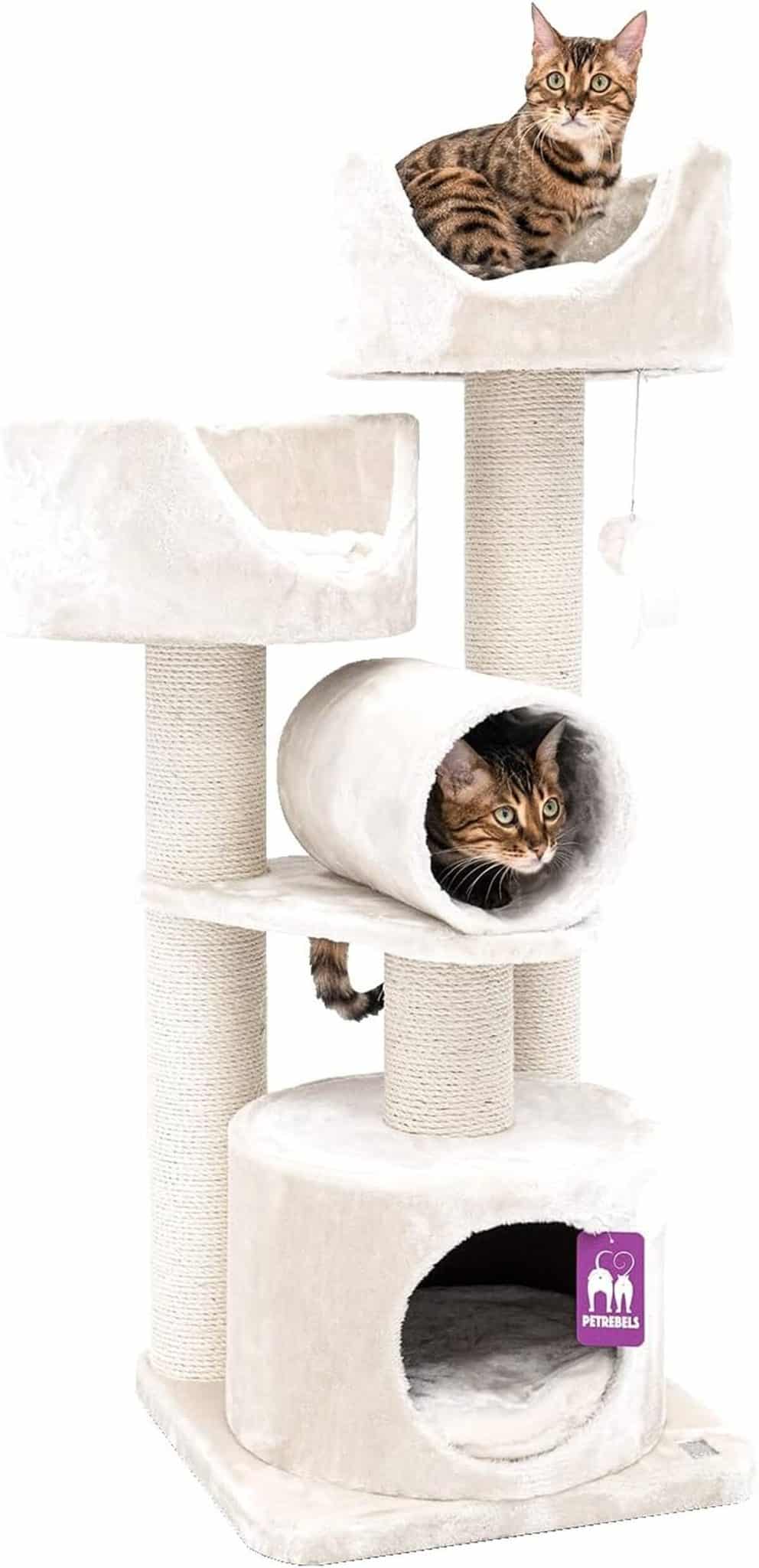 Test de l'arbre à chat Petrebels Victoria 125 : confort et élégance