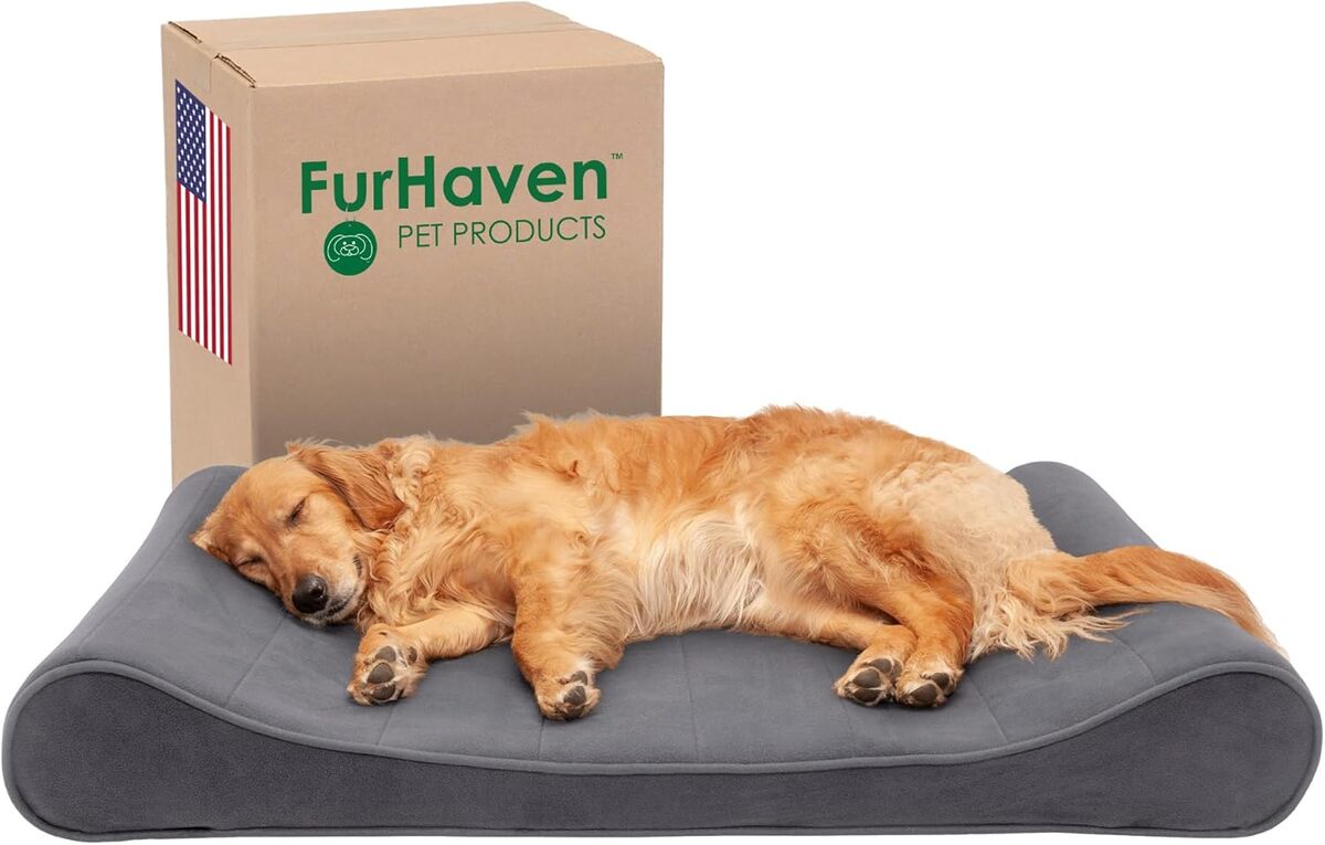 Test du Furhaven : panier en mousse visco-élastique pour animaux