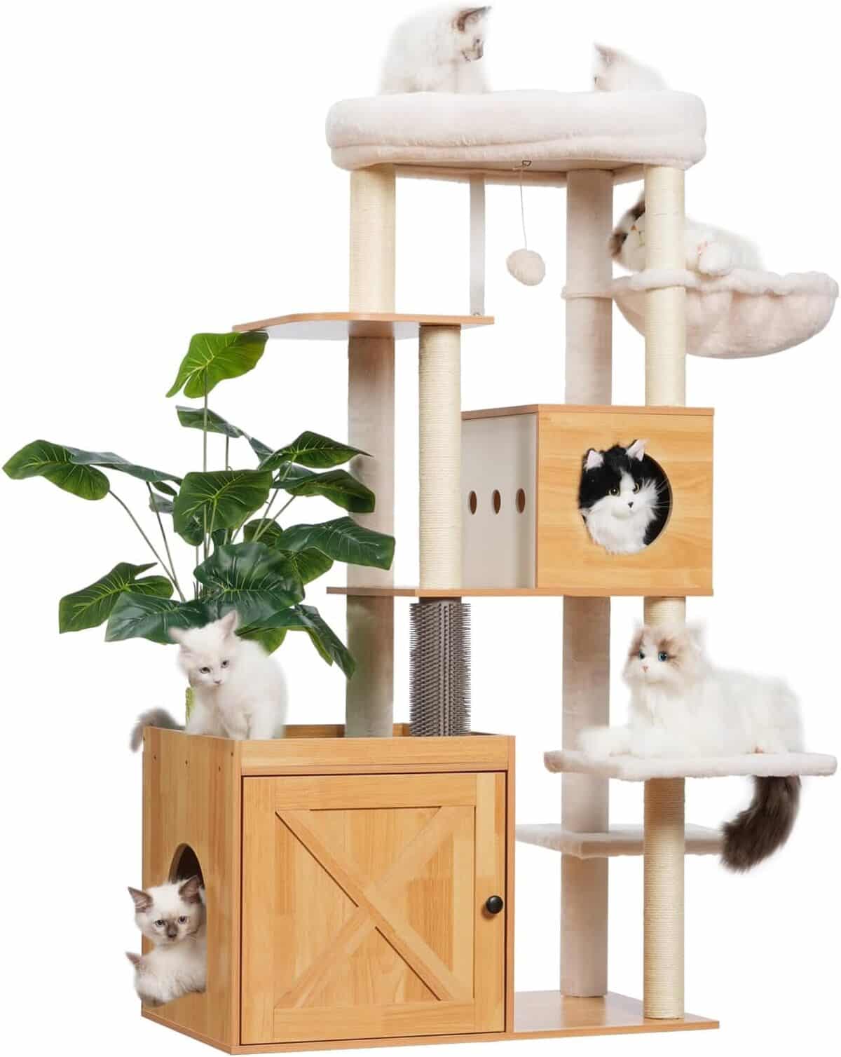Test du Gitelsnour : arbre à chat moderne et astucieux