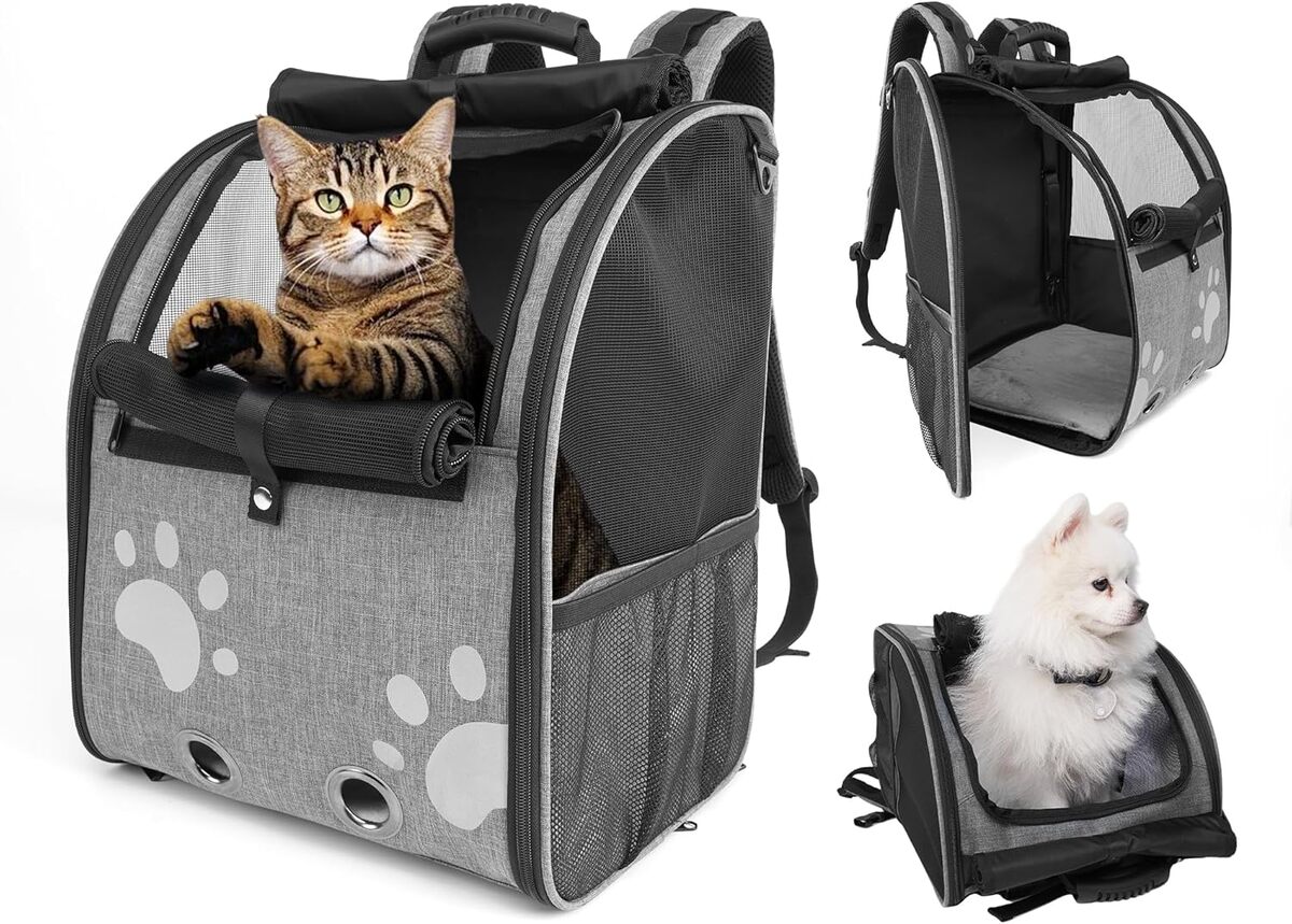 Test du sac à dos de transport pour animaux : design ventilé et portable