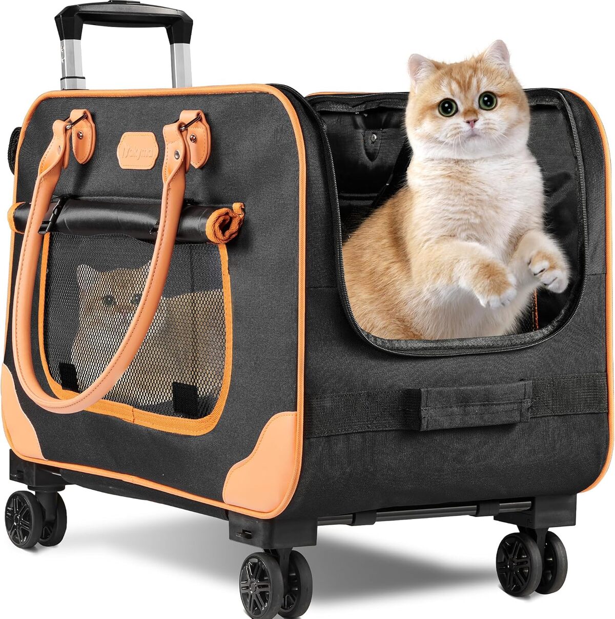 Test du sac de transport Nakyma pour animaux : confort et praticité