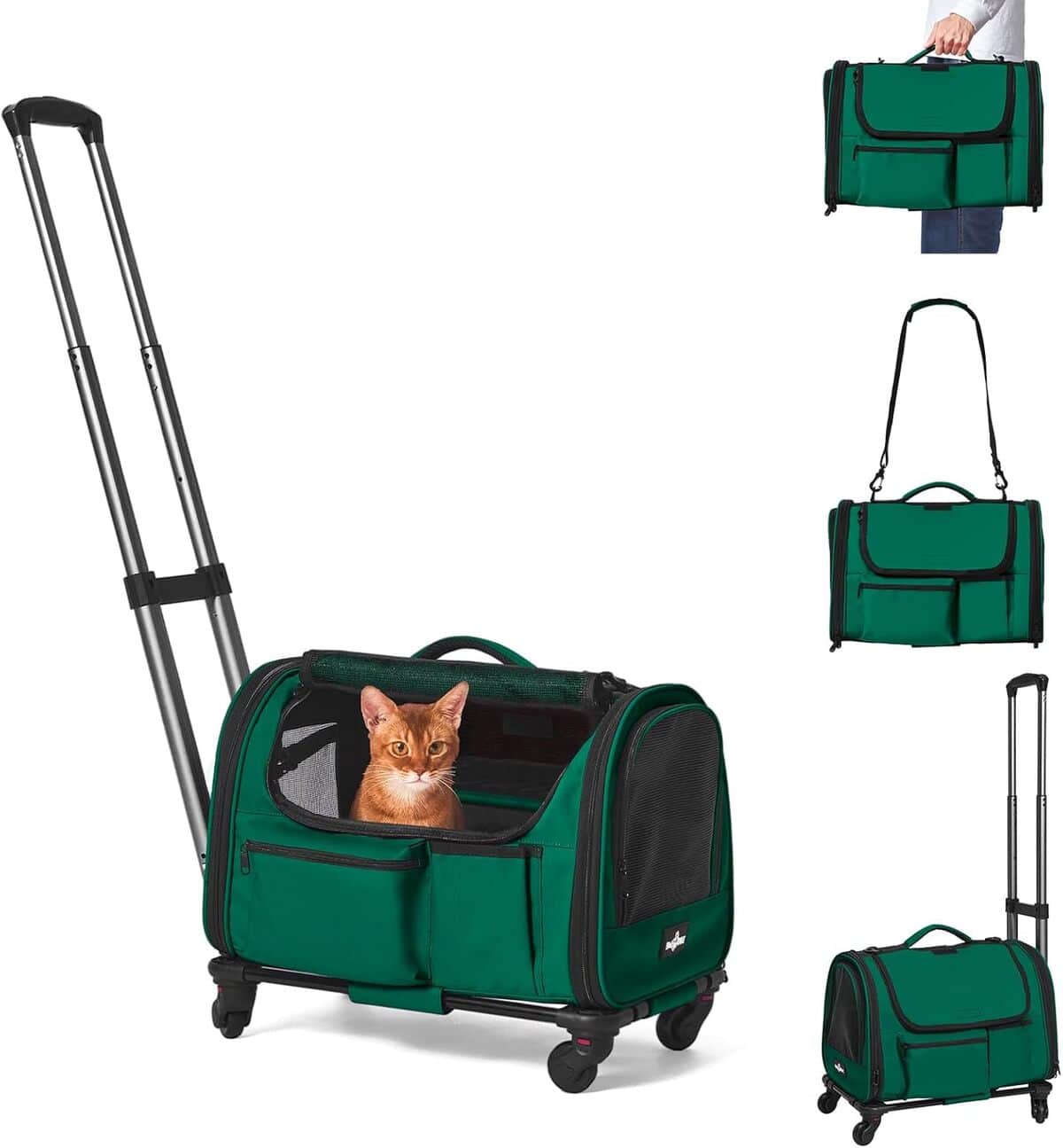 Test du sac de transport Paw Ballet : pratique et approuvé pour les voyages