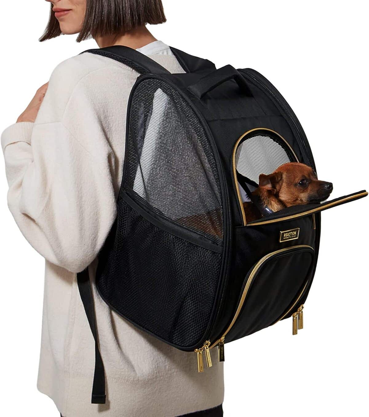 Test : kenneth cole reaction cage de transport pliable pour animaux