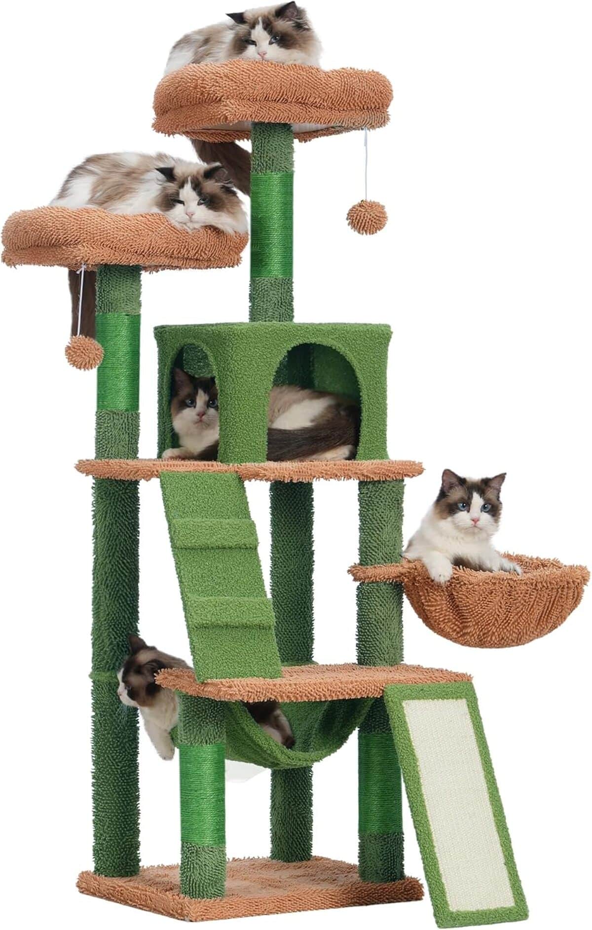Avis sur l'arbre à chat Heybly cactus : confort et style pour vos félins