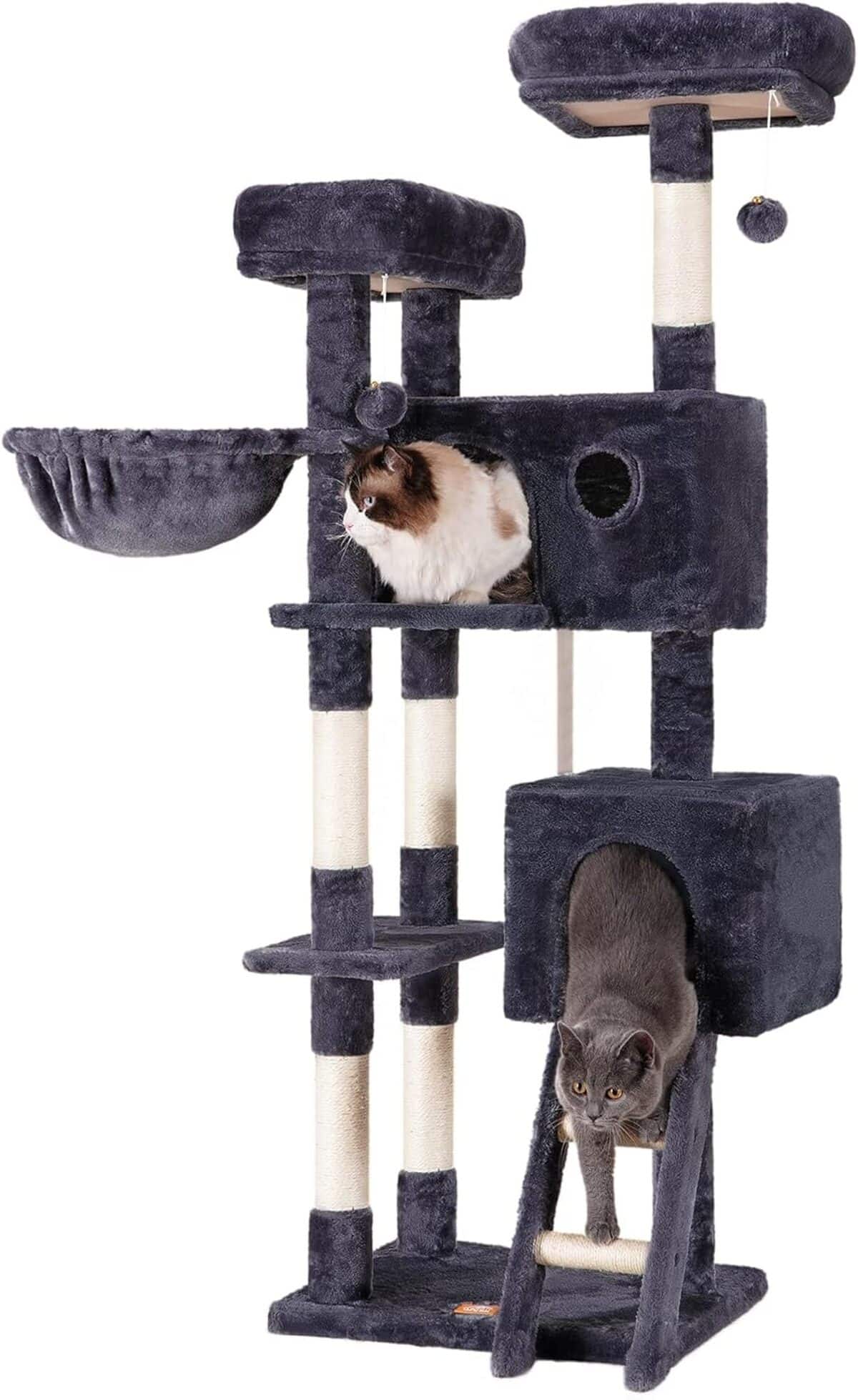 Test de l'arbre à chat Heybly HCT023G : confort et design