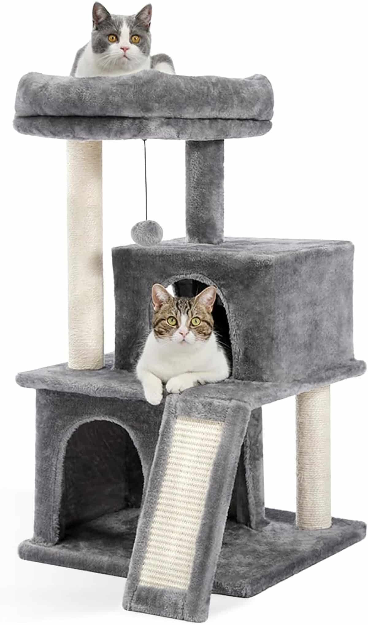 Test de l'arbre à chat PAWZ Road : luxe et confort au rendez-vous