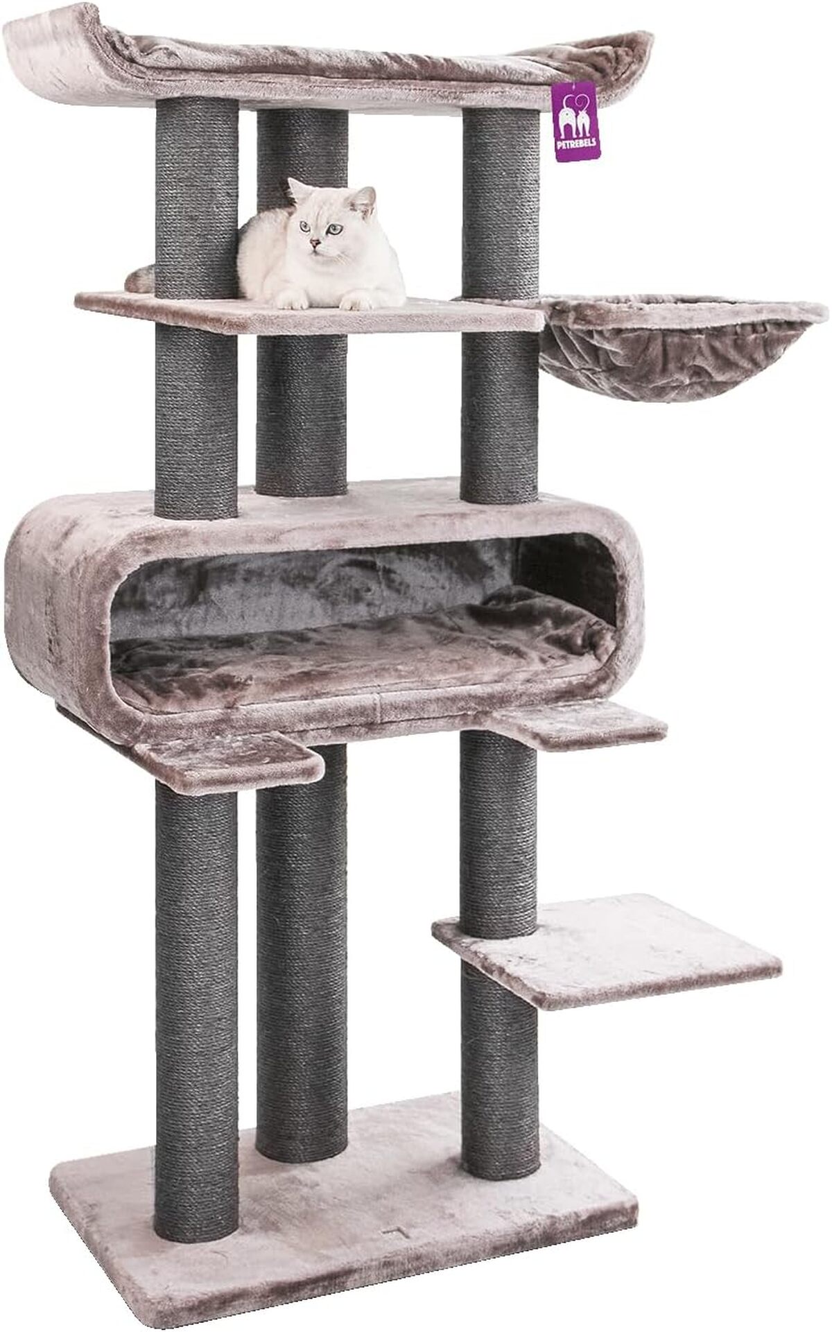 Test de l'arbre à chat Petrebels Maine Coon XXL : design robuste pour grands chats