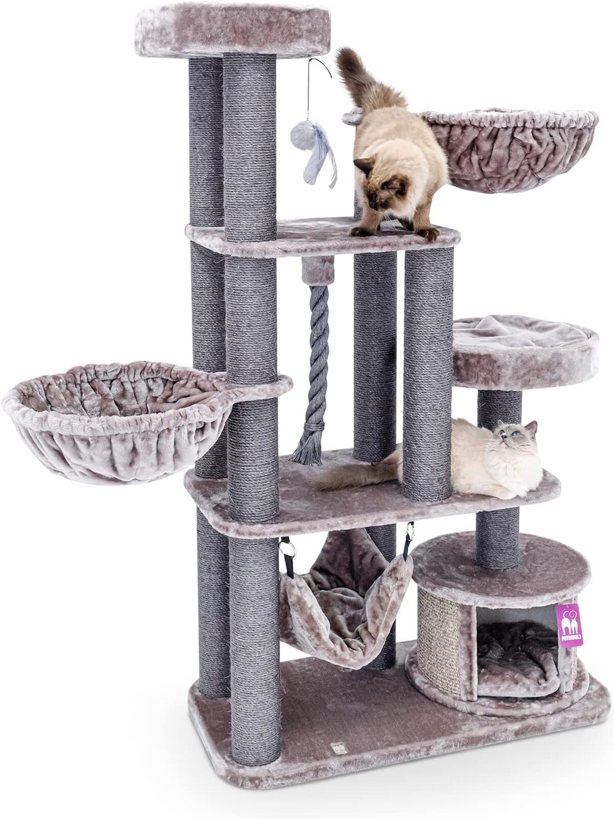 Test de l'arbre à chat Petrebels XL Vista 170 : solide et spacieux