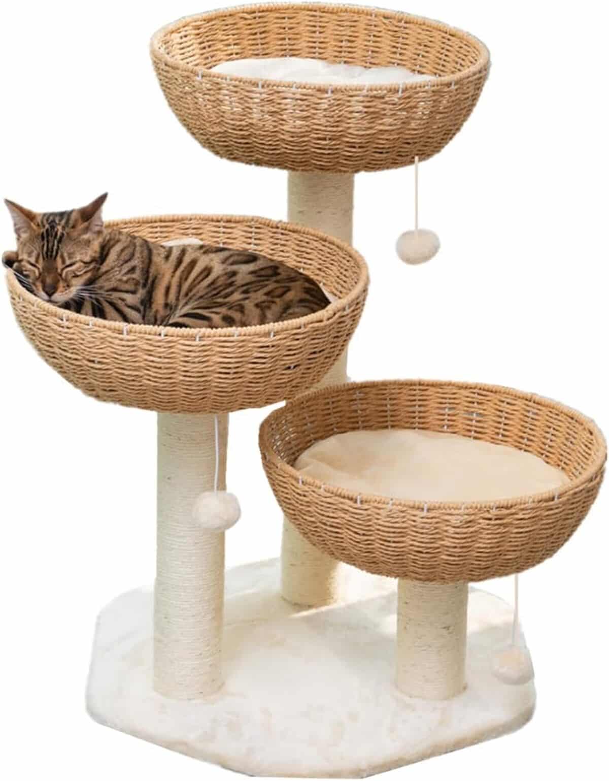 Test de l'arbre à chat Shengocase : panier en rotin tressé