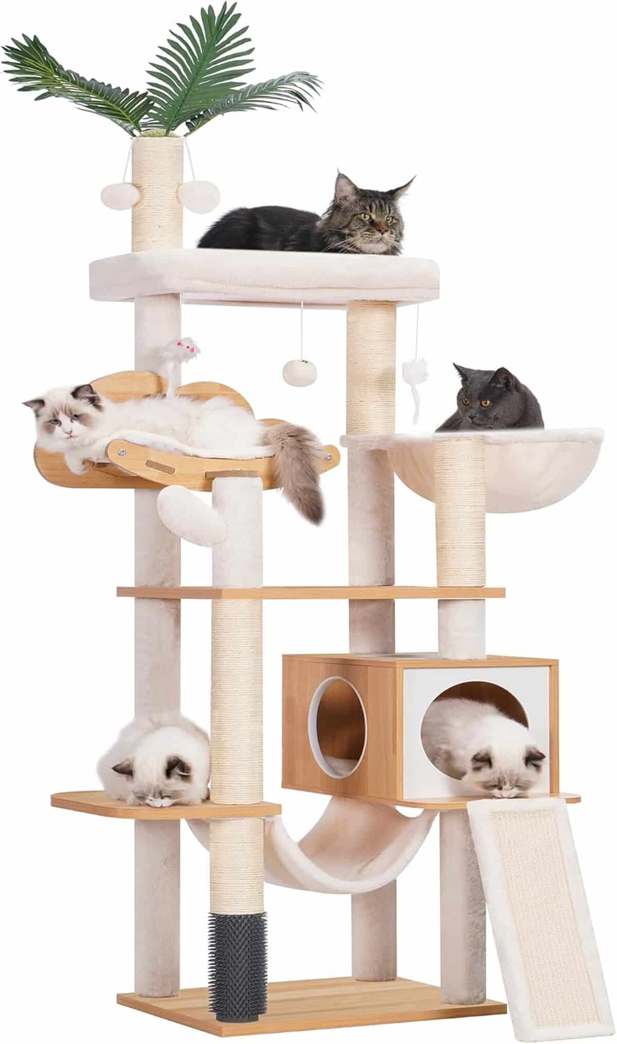 Test du Heybly arbre à chat HCT120WB : l'aire de jeu parfaite pour grands chats